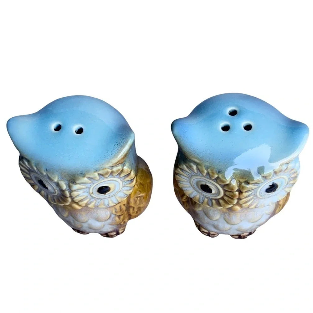 Owl Salt and Pepper Shaker Set Glazed Ceramic Hand Painted Owl Decor 2 Piece Set